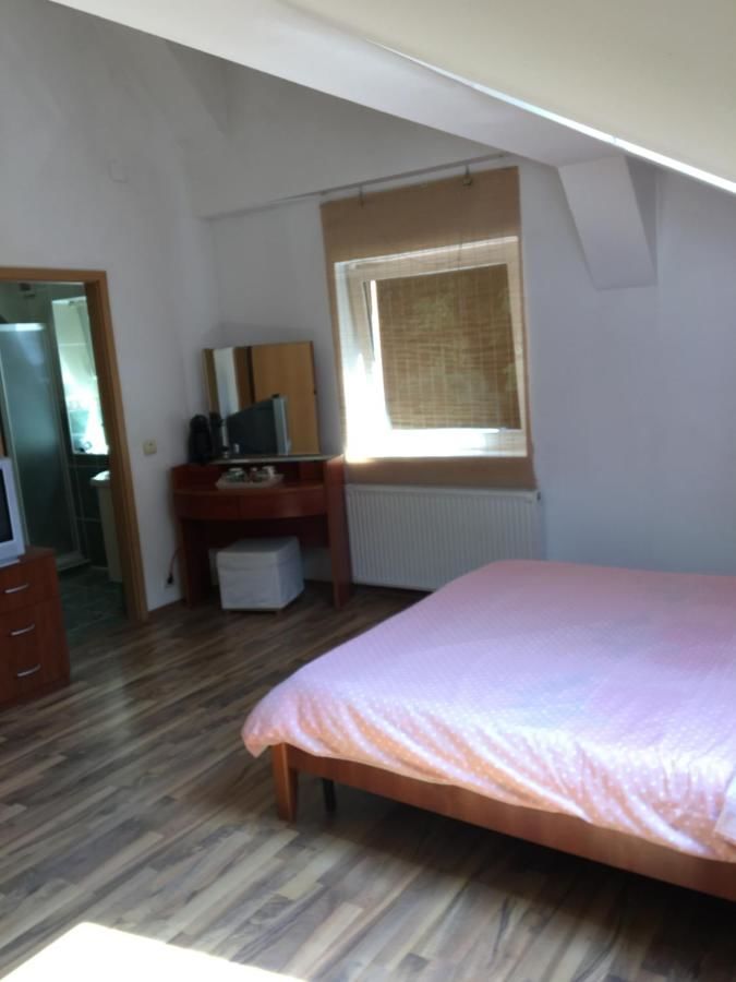 Проживание в семье Villa Zetta Брашов